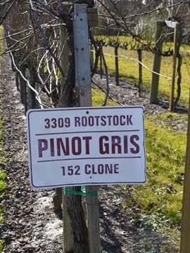 I Dare You to Try Sonoma Wines
