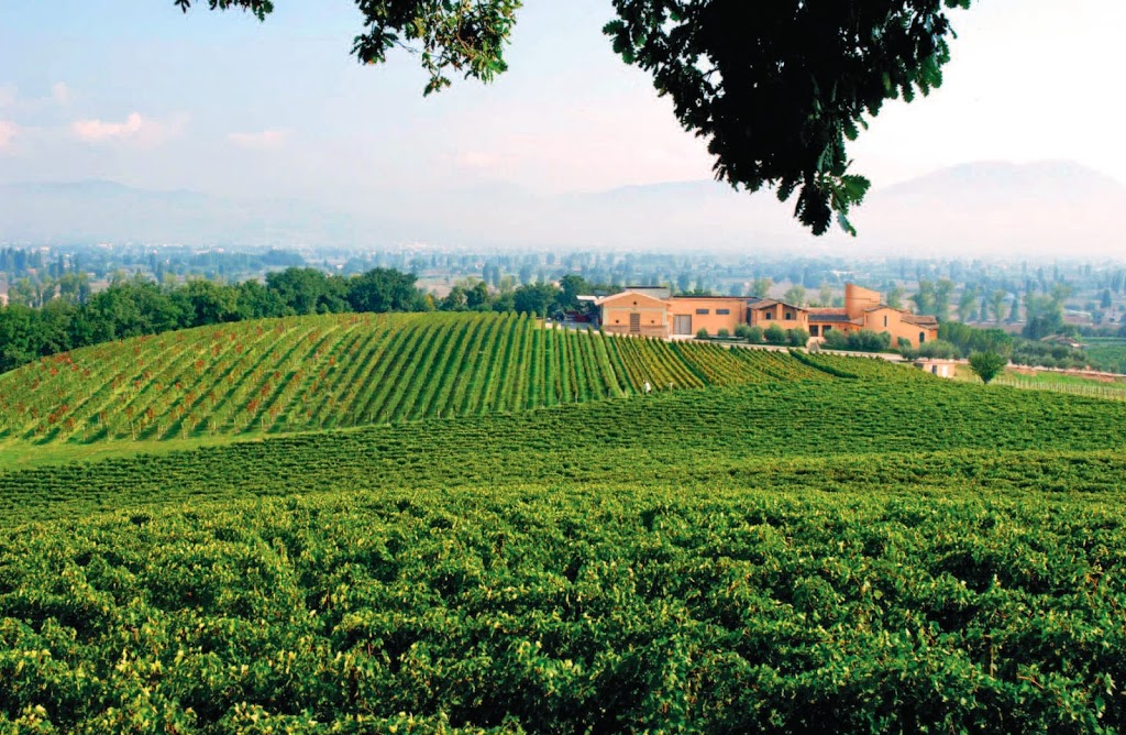 WINERY SPOTLIGHT Arnaldo Caprai, Umbria, Italy