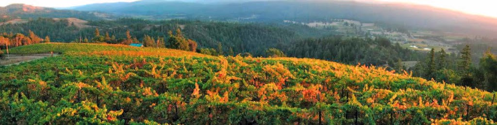 TERROIR Cole Ranch, Mendocino, California