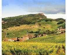 APPELLATION Mâconnais, Burgundy, France