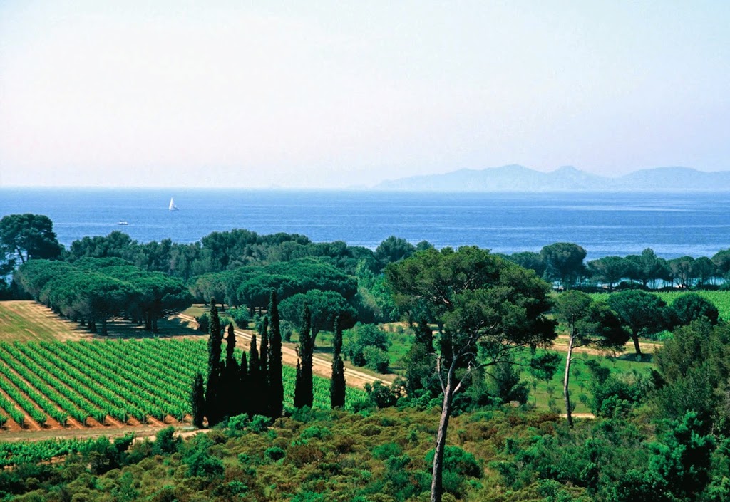 COVER STORY Provence: Heaven for the Senses