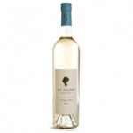 Bat Shlomo Vineyards Israel