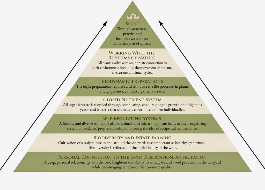 IT’S ONLY NATURAL. SUSTAINABLE, ORGANIC AND BIODYNAMIC WINES ARE BECOMING THE NORM