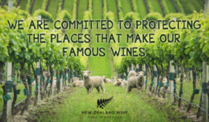 THE AGEABILITY OF NEW ZEALAND SAUVIGNON BLANC