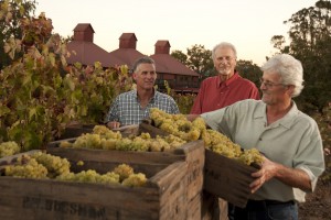 Martinelli Harvest