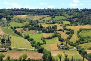 THE MONTEFALCO CONSORTIUM ANNOUNCES IMPORTANT CHANGES IN WINEMAKING REGULATIONS