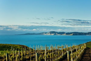 MARLBOROUGH MOVES BEYOND SAUVIGNON BLANC