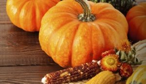 GAME ON – TWO WINES FOR TURKEY DAY