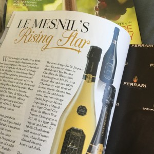 LE MESNIL’S RISING STAR