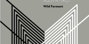 2017 Anatolikos Vineyards Wild Ferment Malagousia Thrace