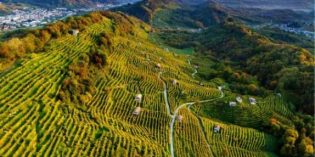 PLANET GRAPE WINE REVIEW’S TOP TEN PROSECCOS AS THE REGION LOOKS TO QUALITY