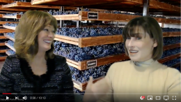 PLANET GRAPE REVIEWS WINTER WEIGHT WINES