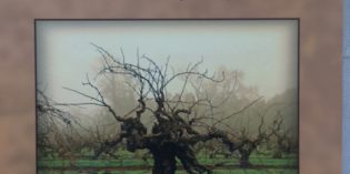 LODI! BY RANDY CAPAROSO