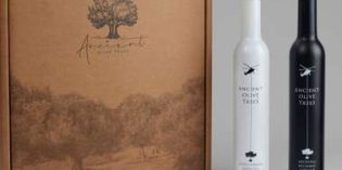 Ancient Olive Trees Archival Balsamic Vinegar Modena