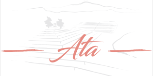2022 Iuppa Ata Etna Rosato