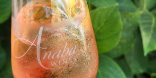2023 Anaba Turbine Rose of Grenache Sonoma Coast